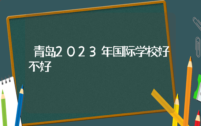 青岛2023年国际学校好不好