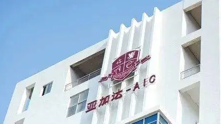 广州亚加达国际预科青藤学院2022年课程体系