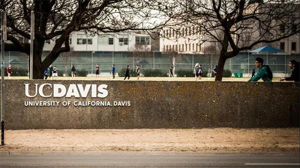 加利福尼亚大学戴维斯分校图片